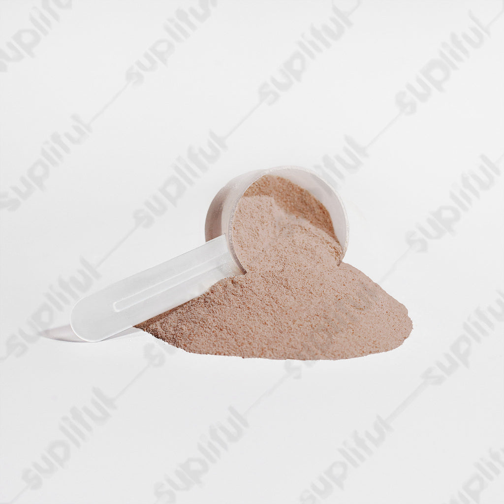 Plant Protein (Chocolate)